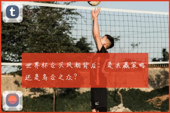 世界杯合买风潮背后:是共赢策略还是乌合之众?